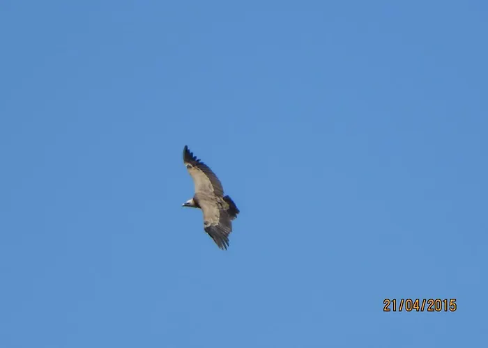 Sara - Lägenhet Cres